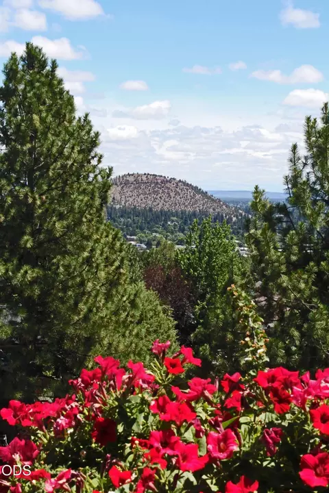 Other - 646 NW Powell Butte Loop, Bend, OR 97703 photo 4 of 10