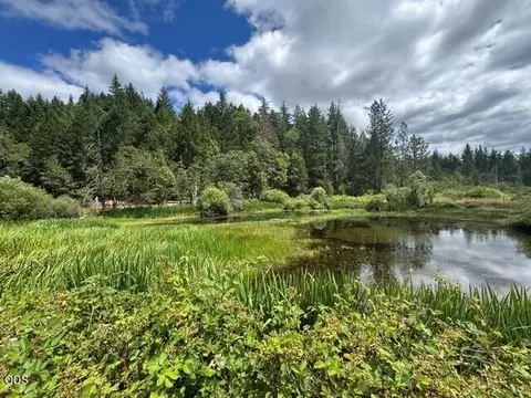 5345 Westside Rd, Cave Junction, OR 97523