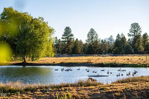 View/Area - 21955 Rickard Rd, Bend, OR 97702 photo 8 of 8