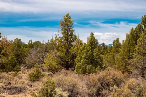 61030 Bacchus Ct, Bend, OR 97702 photo 6