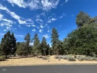 0 Osprey Ln #LOT 233, Klamath Falls, OR 97601