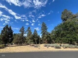 0 Osprey Ln #LOT 233, Klamath Falls, OR 97601