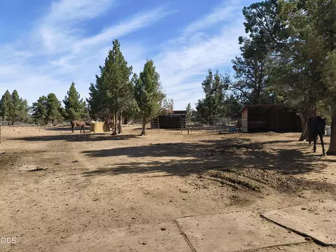 23055 Timland Ln, Bend, OR 97702 photo 11