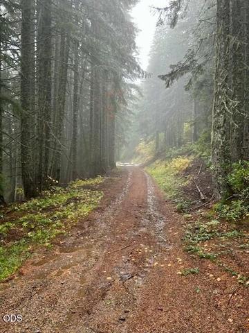 0 Forest Road 2820 #100, Sweet Home, OR 97386