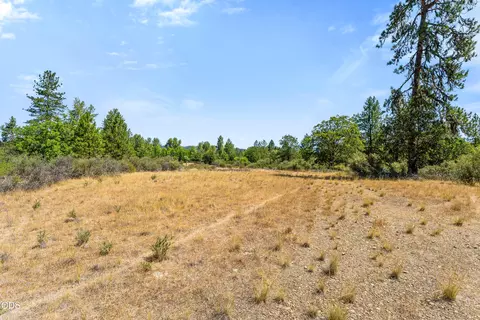 Other - 699 Pine Cone Dr, Cave Junction, OR 97523 photo 5 of 6
