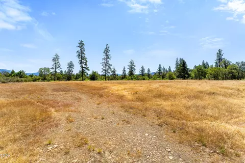 Other - 699 Pine Cone Dr, Cave Junction, OR 97523 photo 2 of 6