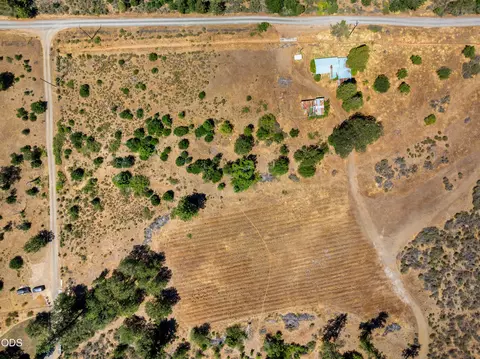 View/Area - 699 Pine Cone Dr, Cave Junction, OR 97523 photo 7 of 9