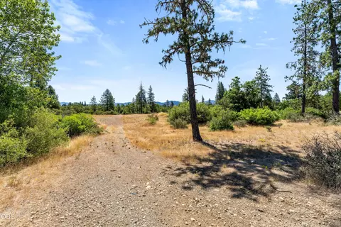 Other - 699 Pine Cone Dr, Cave Junction, OR 97523 photo 4 of 6