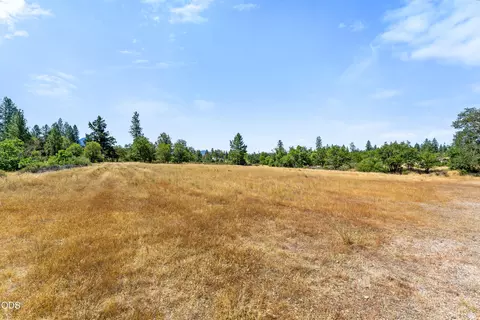 Other - 699 Pine Cone Dr, Cave Junction, OR 97523 photo 3 of 6