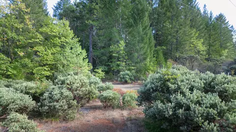 6715 Westside Rd, Cave Junction, OR 97523 photo 4
