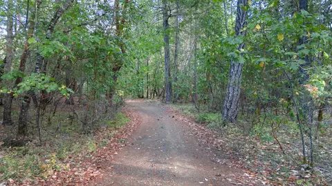 6715 Westside Rd, Cave Junction, OR 97523 photo 5