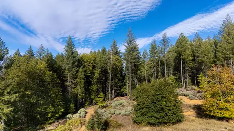 6715 Westside Rd, Cave Junction, OR 97523 photo 17