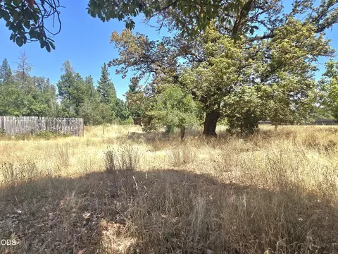 Exterior - 4490 Holland Loop Rd, Cave Junction, OR 97523 photo 9 of 13