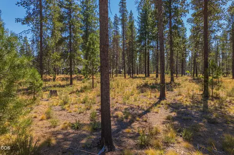17736 Preservation, Bend, OR 97707 photo 2