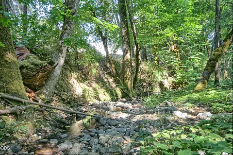 Other - 7763 Thompson Creek Rd, Applegate, OR 97530 photo 27 of 58