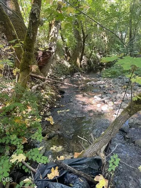 Other - 7763 Thompson Creek Rd, Applegate, OR 97530 photo 28 of 58