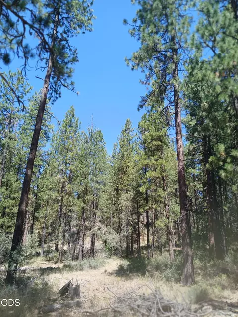 0 Oriole Dr #LOT 12, Bonanza, OR 97623