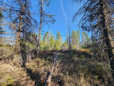 1 Cloudcap Dr #3, Chiloquin, OR 97624 photo 7