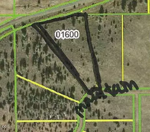 0 Medicine Mountain Drive Lot 16 Blk 17 Dr #LOT 16, BLK 17, Beatty, OR 97621