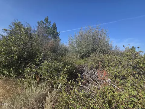 0 Lakeland Rd #LOT 24, Chiloquin, OR 97624