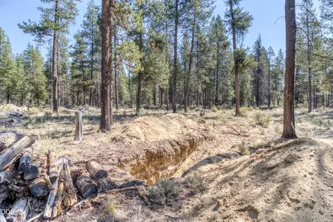 16230 Green Forest Rd, La Pine, OR 97739 photo 13