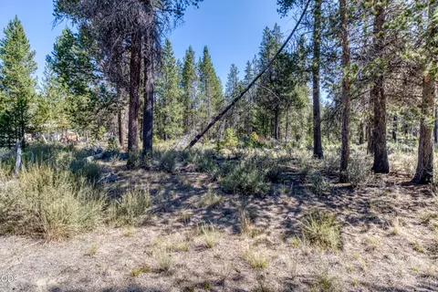 16230 Green Forest Rd, La Pine, OR 97739 photo 7