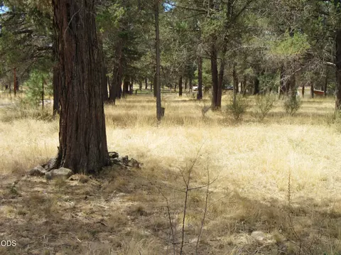 Other - 541 Mathews Rd, Dorris, CA 96023 photo 8 of 11