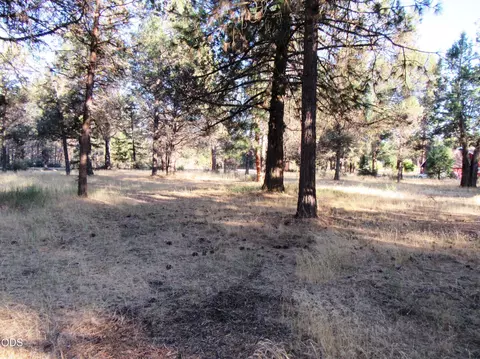 Exterior - 541 Mathews Rd, Dorris, CA 96023 photo 12 of 31