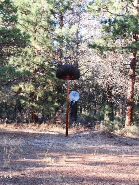 Other - 541 Mathews Rd, Dorris, CA 96023 photo 9 of 11