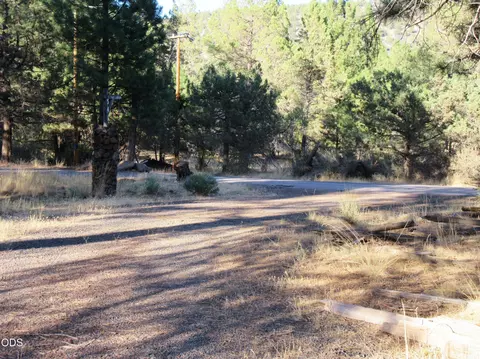 Exterior - 541 Mathews Rd, Dorris, CA 96023 photo 10 of 31