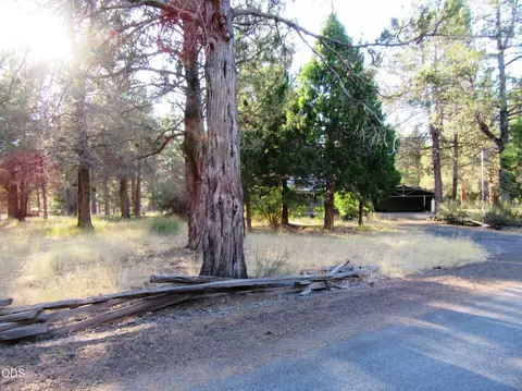 Exterior - 541 Mathews Rd, Dorris, CA 96023 photo 30 of 31