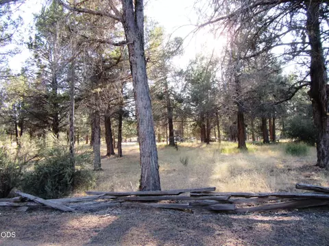 Exterior - 541 Mathews Rd, Dorris, CA 96023 photo 29 of 31