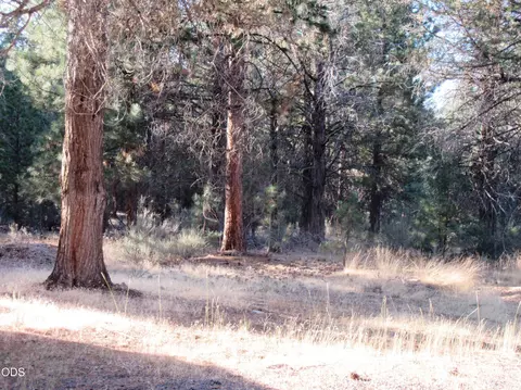 Exterior - 541 Mathews Rd, Dorris, CA 96023 photo 9 of 31