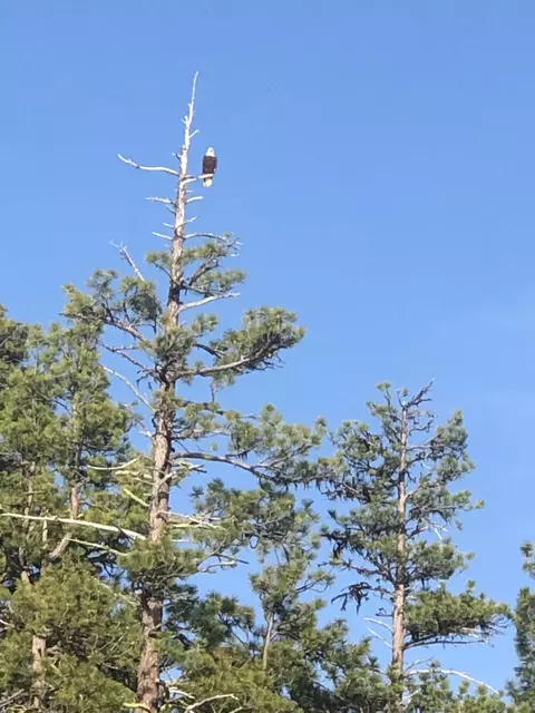 Other - 17476 Rail Dr, Bend, OR 97707 photo 11 of 11