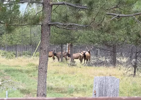 Other - 17476 Rail Dr, Bend, OR 97707 photo 9 of 11