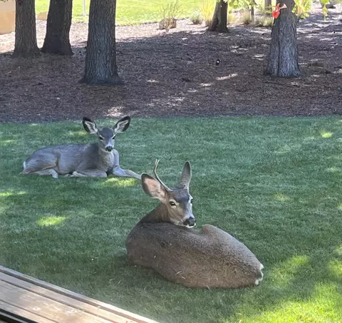 Other - 17476 Rail Dr, Bend, OR 97707 photo 10 of 11