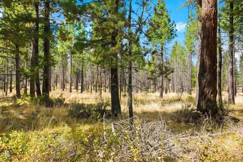 Other - 16970 Quartz Hill Rd, Bend, OR 97707 photo 7 of 7