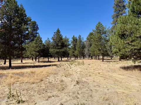 Other - 9004 Split Rail Rd #0, La Pine, OR 97739 photo 10 of 11