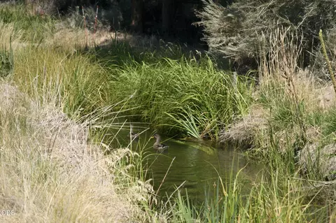 Other - 63379 Hamehook Rd, Bend, OR 97701 photo 6 of 7