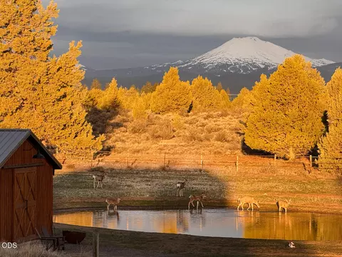 View/Area - 22311 Mcardle Rd, Bend, OR 97702 photo 7 of 8