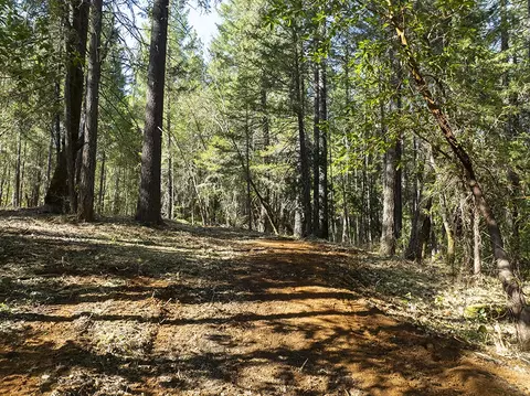 12060 Redwood Hwy, Wilderville, OR 97543