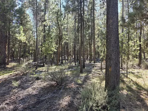 50429 Cascade St, La Pine, OR 97739 photo 16