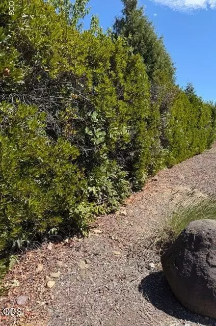 Rachel Way, Medford, OR 97504