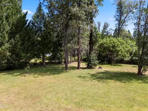 Exterior - 4551 Holland Loop Rd, Cave Junction, OR 97523 photo 17 of 22