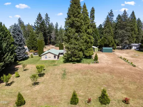 Exterior - 4551 Holland Loop Rd, Cave Junction, OR 97523 photo 14 of 22