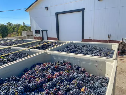 Other - 1098 Nick Young Rd, Eagle Point, OR 97524 photo 34 of 40