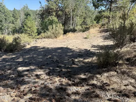 0 Braymill Lot 5 6 Dr, Chiloquin, OR 97624 photo 31