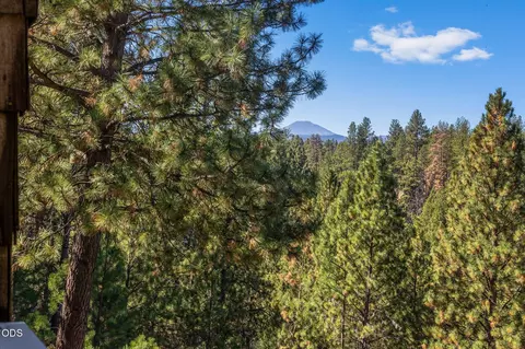 Other - 60623 River Bend Dr, Bend, OR 97702 photo 12 of 12
