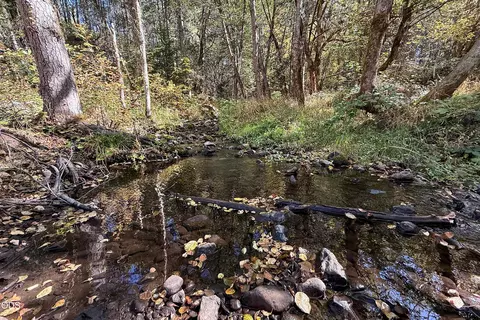 Other - 3735 Cobleigh Rd, Eagle Point, OR 97524 photo 18 of 27