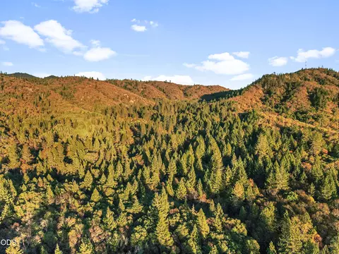 Other - 780 Pinecrest Dr, Grants Pass, OR 97526 photo 7 of 7